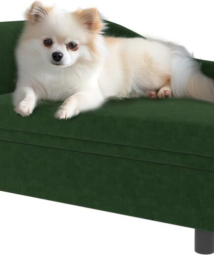Luxury Fancy Dog Couch with Hidden Storage, Small Dog Sofa Bed with 2" Soft Foam, Modern Pet Furniture for Puppies & Little Breeds, Green