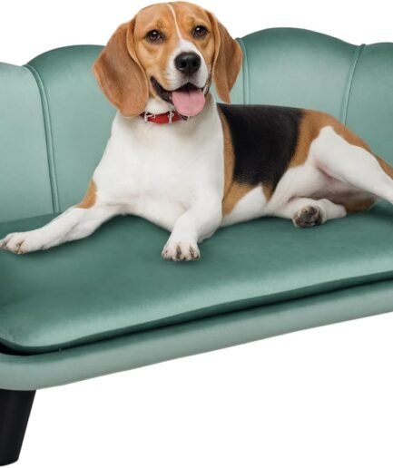 Velvet Large Dog Couch with Foam Cushion, Soft and Cute Bed with Pearl Design, Sofa for Big and Medium Dogs, Green